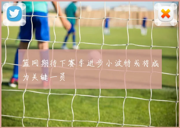 篮网期待下赛季进步小波特或将成为关键一员
