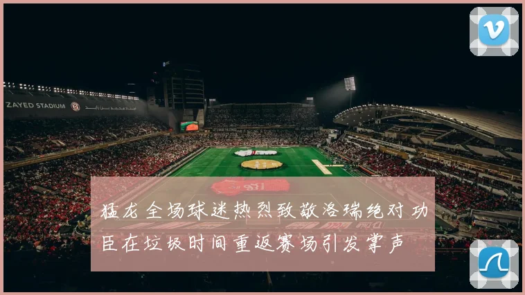 猛龙全场球迷热烈致敬洛瑞绝对功臣在垃圾时间重返赛场引发掌声